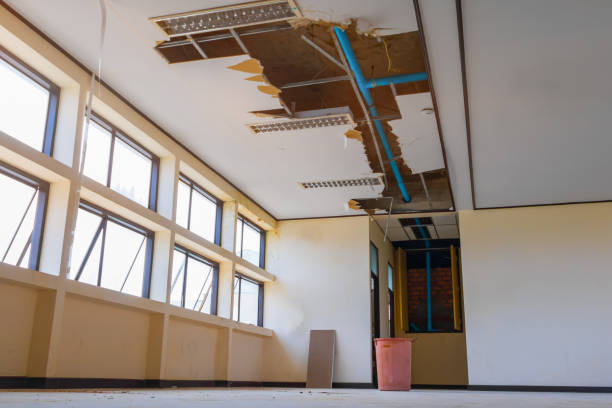 Best Water damage restoration near me  in Elkton, MD
