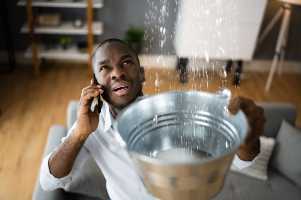 Best Water damage restoration process  in Elkton, MD