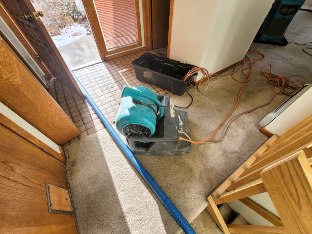 Best Professional water damage repair  in Elkton, MD