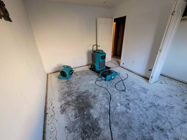 Best Water damage restoration specialists  in Elkton, MD