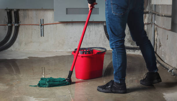 Best Fire Damage Restoration  in Elkton, MD