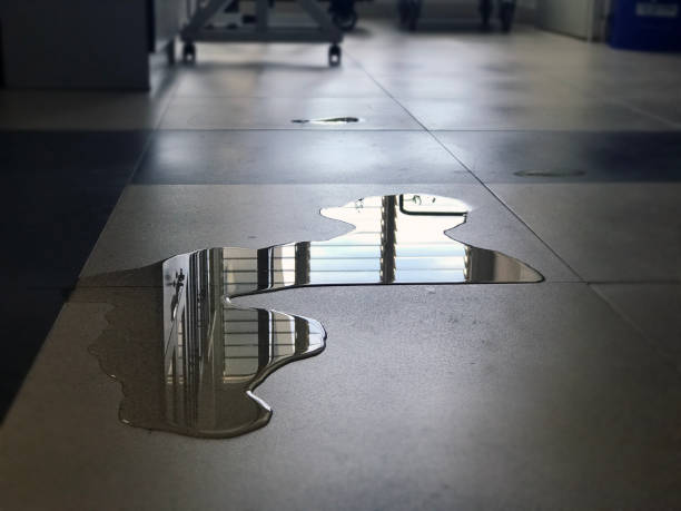 Best Water damage restoration near me  in Elkton, MD