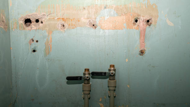 Best Basement water damage restoration  in Elkton, MD