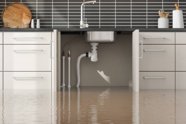 Best Carpet water damage restoration  in Elkton, MD